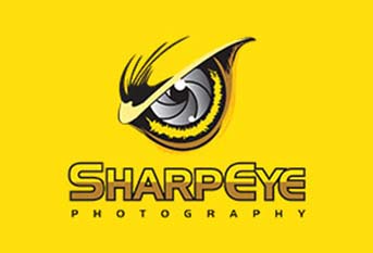 Photography design sample 10