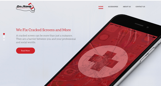 Website design project 11