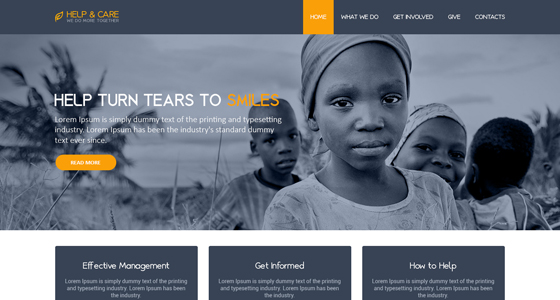 Website design project 20