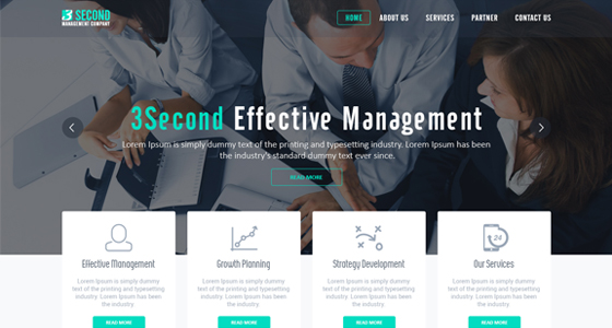 Website design project 21