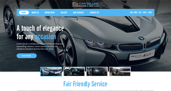 Website design project 23