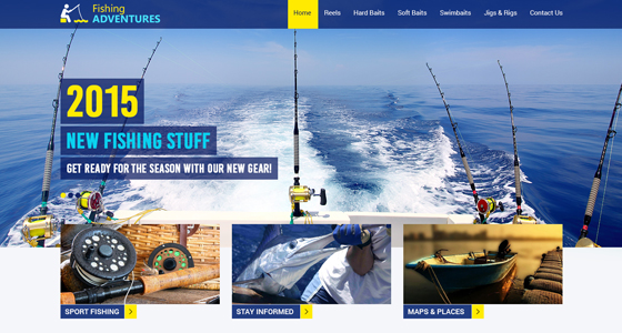 Website design project 25