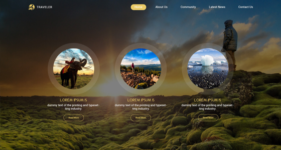 Website design project 29