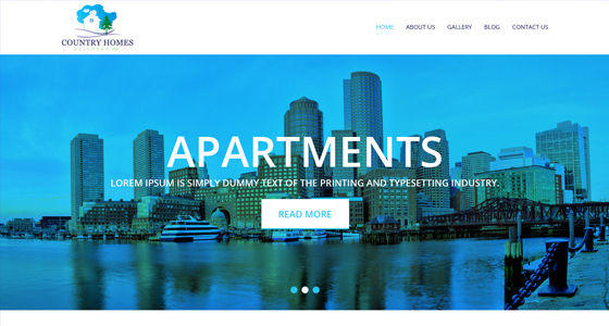 Website design project 30