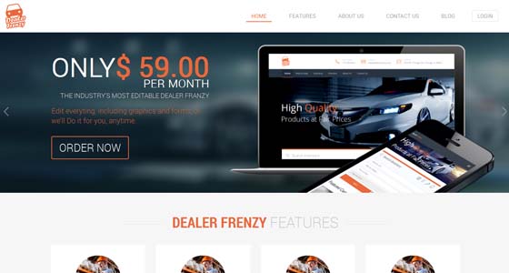 Website design project 31