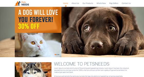 Website design project 32