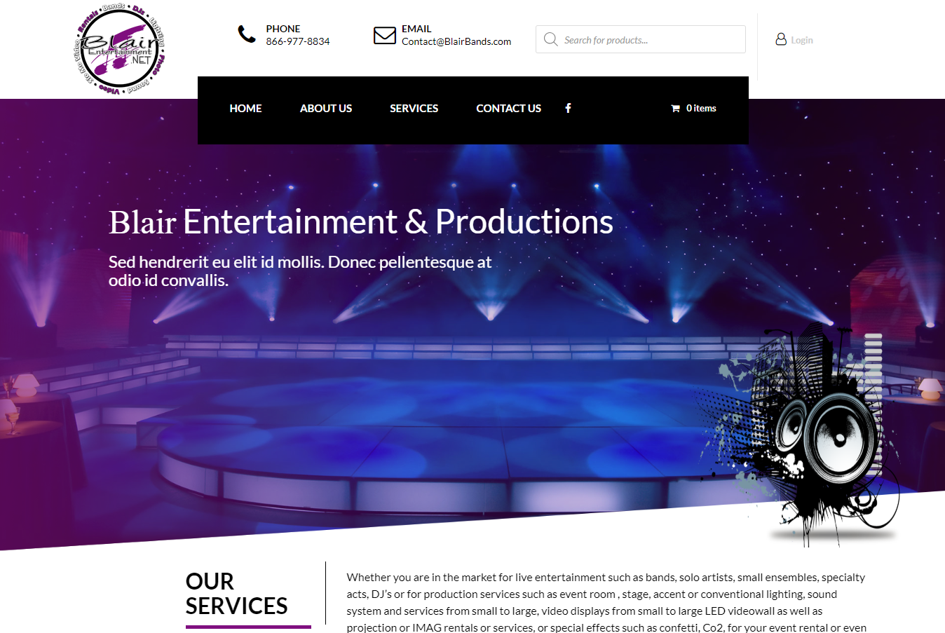 Website design project